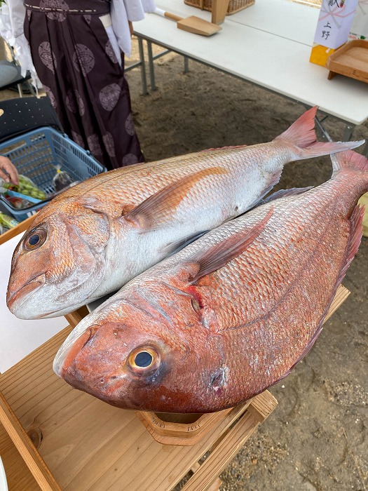 地鎮祭 お供え物 鯛